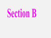 【名师精品】7 《Unit 6 I'm watching TV Section B》课件