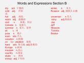 【名师精品】7 《Unit 7 It’s raining Section B》课件