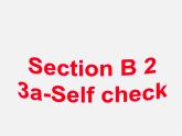 【名师精品】7  Unit 7 It's raining Section B课件2