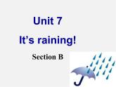 【吉林】 《Unit 7 It's raining!》Section B课件（2）