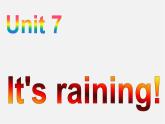 【湖北省】2Unit 7 It’s raining Section B课件2