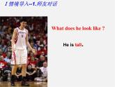 【黑龙江】《Unit 9 What does he look like Period 3》课件