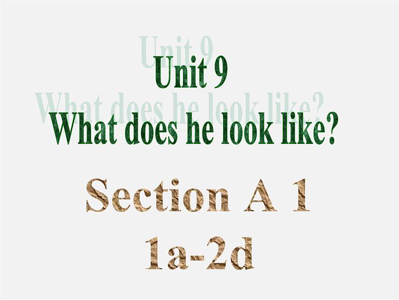 【湖北省】2Unit 9 What does he look like Section A课件102