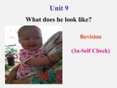 【黑龙江】《Unit 9 What does he look like Period 4》课件