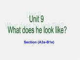 【黑龙江】《Unit 9 What does he look like Period 2》课件