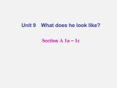 【名师精品】4 Unit 9 What does he look like Section A 1a－1c（预习导航+堂堂清+日日清）课件