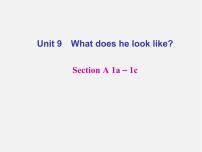 人教新目标 (Go for it) 版七年级下册Unit 9 What does he look like?Section A评课课件ppt