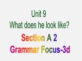 【湖北省】 Unit 9 What does he look like Period 2课件
