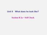【名师精品】4 Unit 9 What does he look like Section B 2a－Self Check（预习导航+堂堂清+日日清）课件