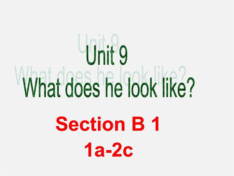 【湖北省】2Unit 9 What does he look like Section B课件102