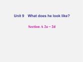 【名师精品】4 Unit 9 What does he look like Section A 2a－2d（预习导航+堂堂清+日日清）课件