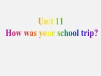 初中人教新目标 (Go for it) 版Unit 11 How was your school trip?Section A示范课课件ppt