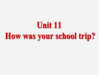 人教新目标 (Go for it) 版七年级下册Unit 11 How was your school trip?Section B课前预习ppt课件