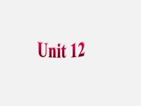 人教新目标 (Go for it) 版七年级下册Unit 12 What did you do last weekend?Section B课文课件ppt