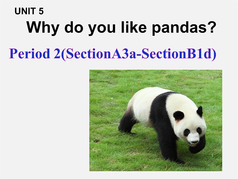 【黑龙江】《Unit 5 Why do you like pandas Period 2》课件01