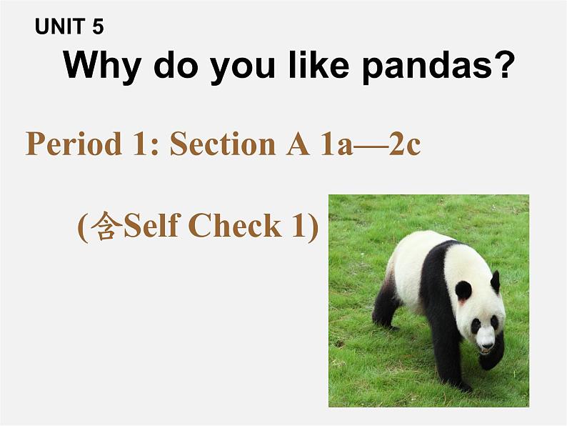 【黑龙江】《Unit 5 Why do you like pandas Period 1》课件第1页