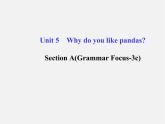 【金榜学案】Unit 5 Why do you like pandasSection A(Grammar Focus-3c)课件