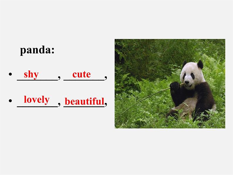 【浙江省】 2 Unit 5 Why do you like pandas Section B 2课件03