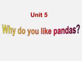 【名师精品】7  Unit 5 Why do you like pandas Section A课件2