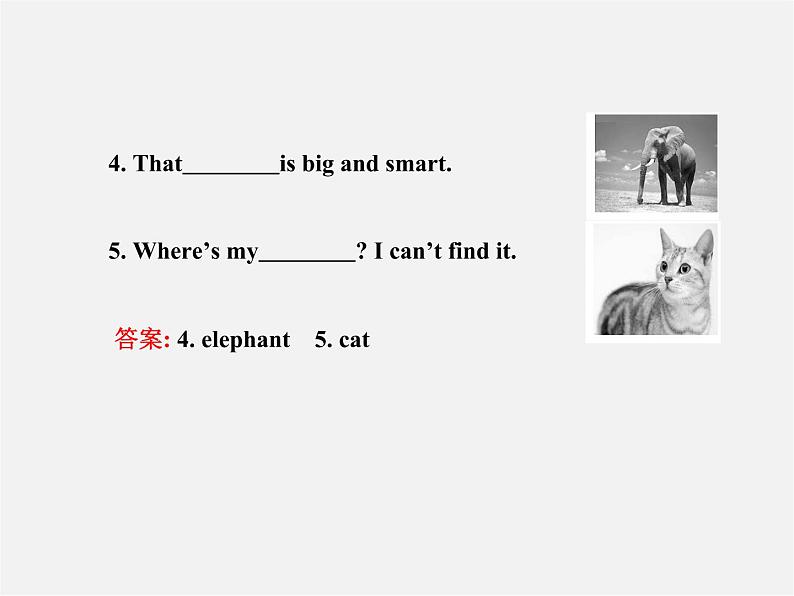【金榜学案】Unit 5 Why do you like pandasSection A(1a-2d)课件03