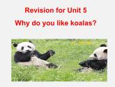 【湖北省】 Unit 5 Why do you like pandas复习课件