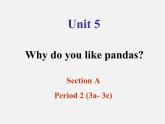 【浙江省】 2 Unit 5 Why do you like pandas Section A 2课件