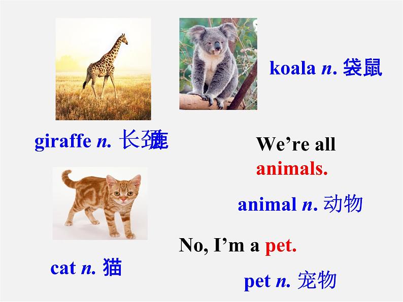 【名师精品】7  Unit 5 Why do you like pandas Section A课件104