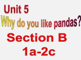 【湖北省】 Unit 5 Why do you like pandas Period 3课件