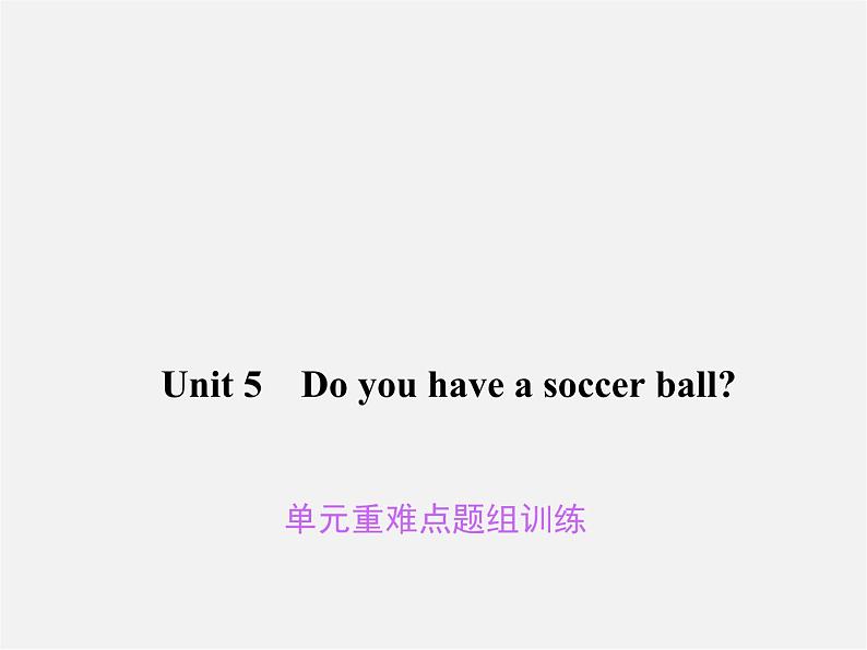 Unit 5 Do you have a soccer ball重难点题组训练课件01