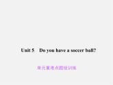 Unit 5 Do you have a soccer ball重难点题组训练课件