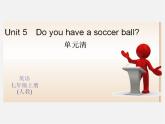 Unit 5 Do you have a soccer ball？单元清课件