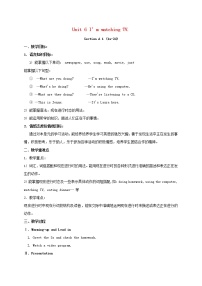 初中英语Section A教案