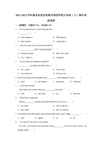 2021-2022学年湖北省武汉实验外国语学校九年级（上）期中英语试卷（Word版无答案）