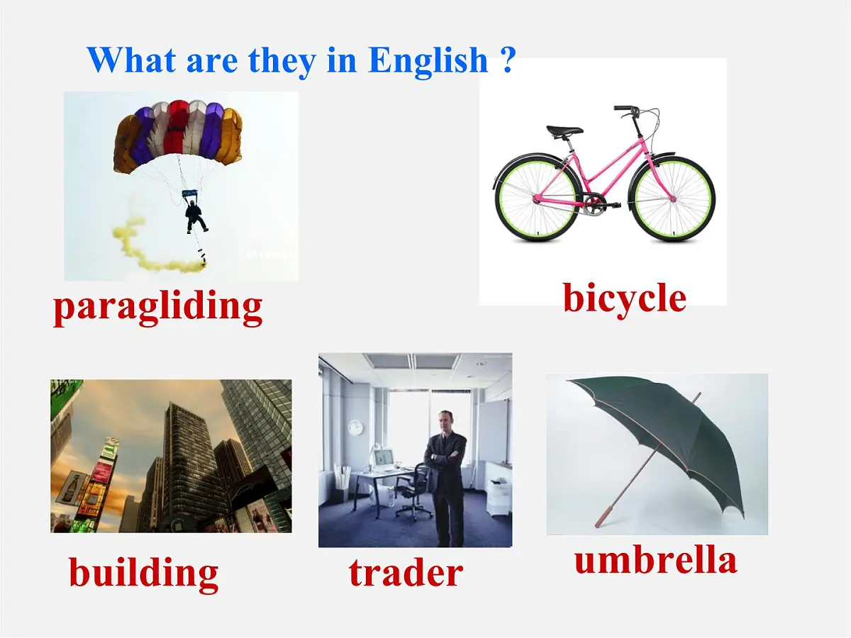 八年级英语上册 Unit 1 Where did you go on vacation Section B 2a-2e课件第8页