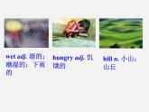广东省韶关市曲江县大塘中学八年级英语上册 Unit 1 Where did you go on vacation Section B课件