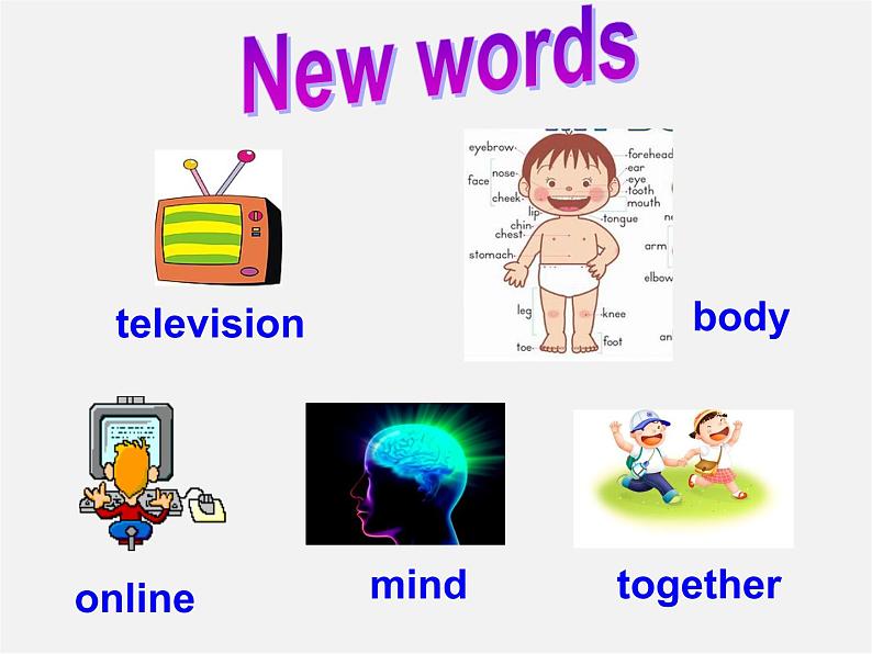 山东省邹平县实验中学八年级英语上册《Unit 2 How often do you exercise Section B（2a-2e）》课件03