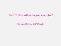 初中英语Unit 2 How often do you exercise?Section B集体备课课件ppt