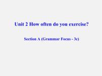 人教新目标 (Go for it) 版八年级上册Unit 2 How often do you exercise?Section A课文配套ppt课件