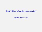辽宁省东港市黑沟中学八年级英语上册 Unit 2 How often do you exercise Section A（1a-1c）课件