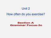 广东省东莞市石碣镇四海之星学校八年级英语上册 Unit 2 How often do you exercise Section A（Grammar Foucs-3c）课件