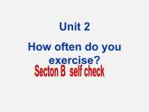山东省肥城市汶阳镇初级中学八年级英语上册 Unit 2 How often do you exercise Section B（self-check）课件
