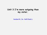 辽宁省东港市黑沟中学八年级英语上册 Unit 3 I'm more outgoing than my sister Section B（3a-self check）课件