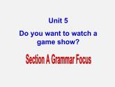 江西省宜春市第八中学八年级英语上册 Unit 5 Do you want to watch a game show Section A 2课件