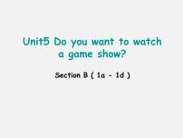 人教新目标 (Go for it) 版八年级上册Unit 5 Do you want to watch a game show?Section B课堂教学ppt课件