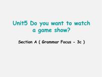 初中英语Unit 5 Do you want to watch a game show?Section A示范课ppt课件