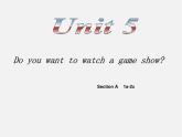 山东省无棣县第一实验学校八年级英语上册 Unit 5 Do you want to watch a game show Section A（1a-2c）课件