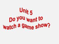 人教新目标 (Go for it) 版八年级上册Unit 5 Do you want to watch a game show?Section A教学课件ppt