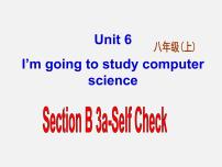 英语八年级上册Section B背景图ppt课件