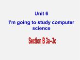 八年级英语上册 Unit 6 I’m going to study computer science Section B-3a-3c课件