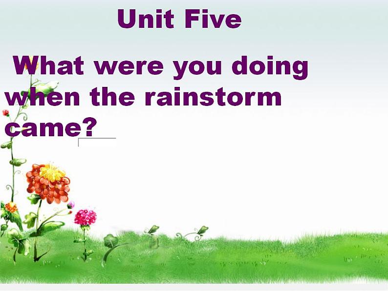 河北省承德县三沟初级中学八年级英语下册 Unit 5 What were you doing when the rainstorm came课件2第2页